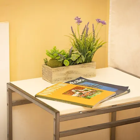 Гостевой дом Internouno 4*