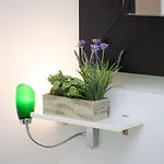 Internouno